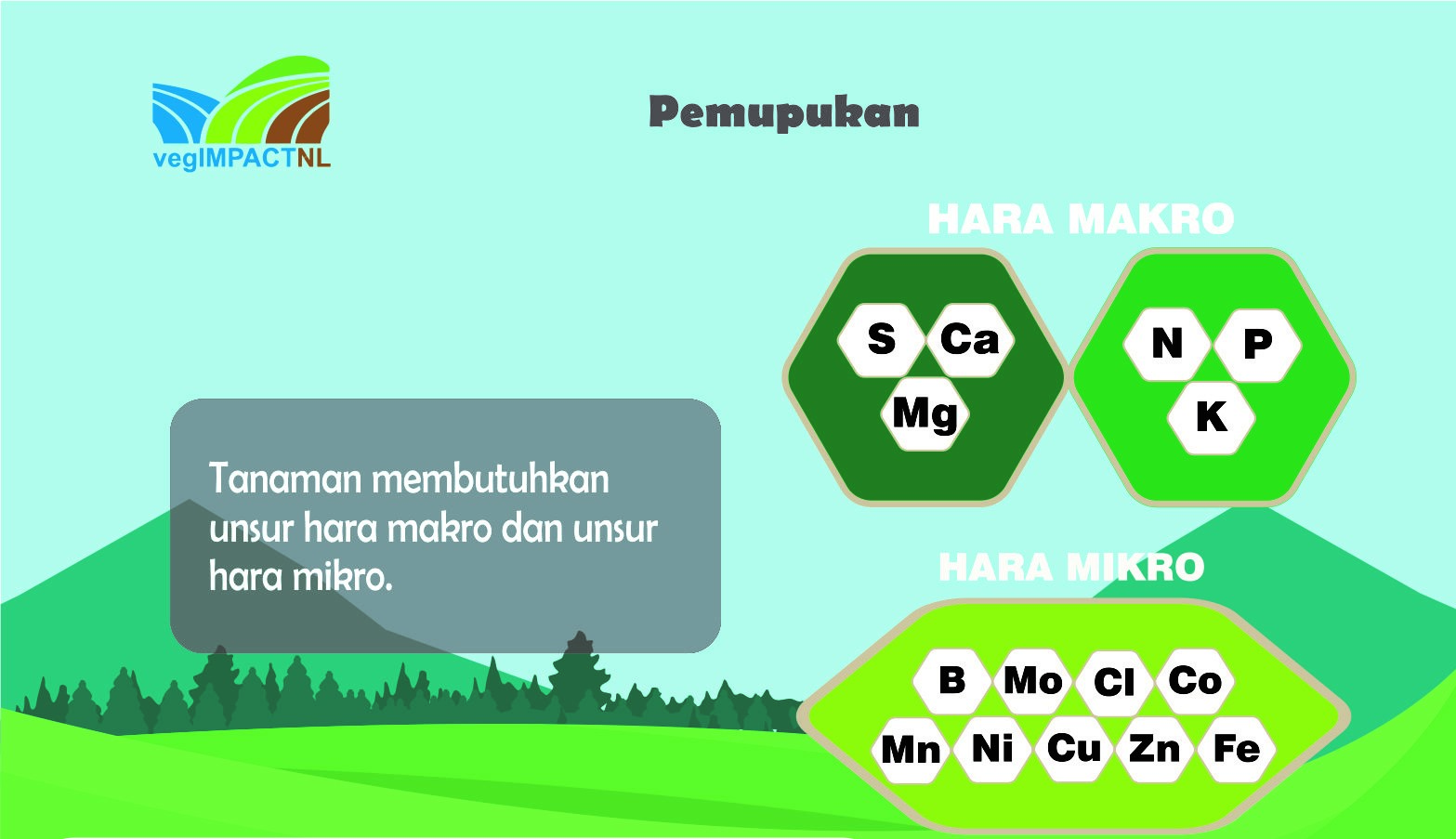 Unsur Hara Makro Dan Mikro Berbagi Informasi